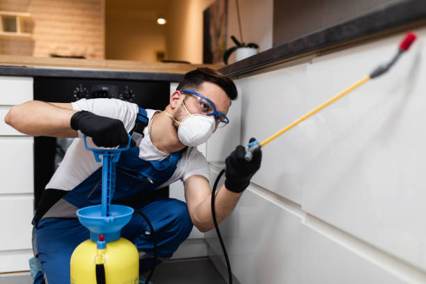 Professional Pest Control in Newport, AR