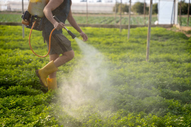 Best Pest Control Near Me in Newport, AR