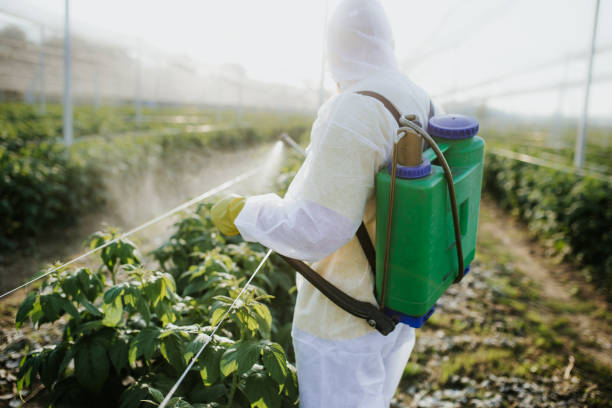 Best Residential Pest Control  in Newport, AR